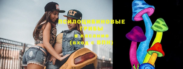 соль ск Новозыбков