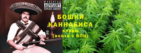 соль ск Новозыбков