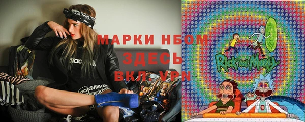 соль ск Новозыбков