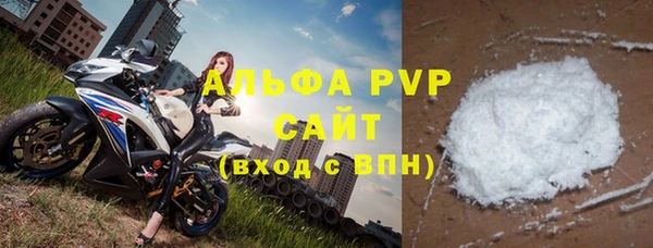 соль ск Новозыбков