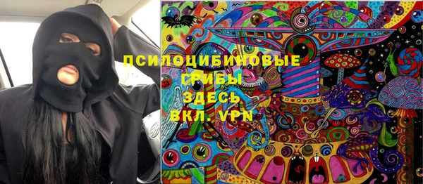 соль ск Новозыбков