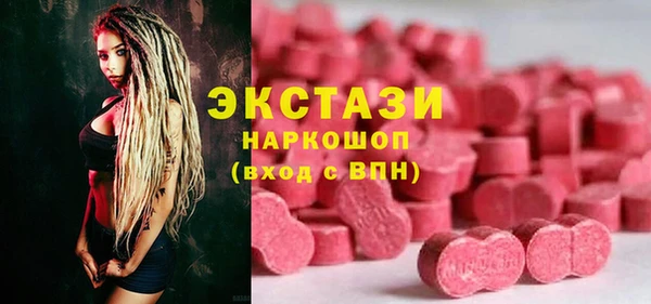 соль ск Новозыбков